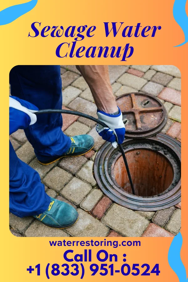 Sewage Water Cleanup in Norton Shores, MI